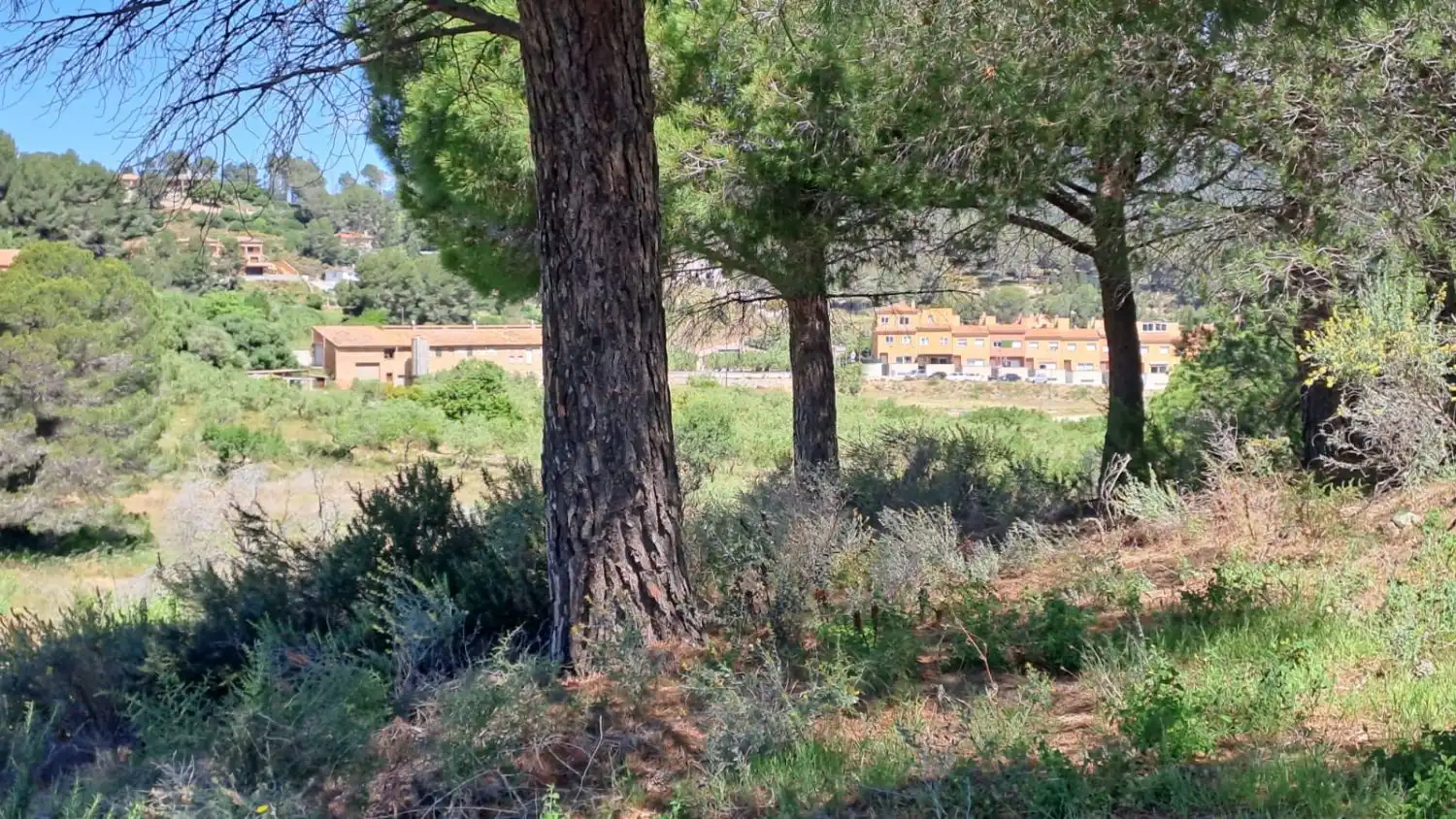 Finca rústica en venda en Riudecanyes