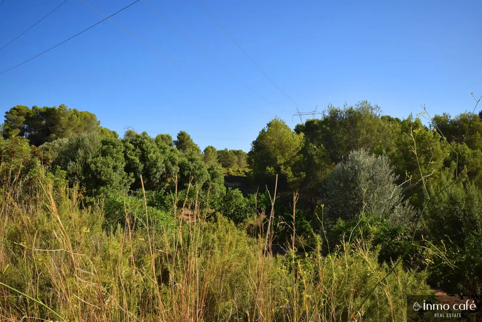 Terreny rústic en venda a L'Alcúdia de Crespins, imagen 11
