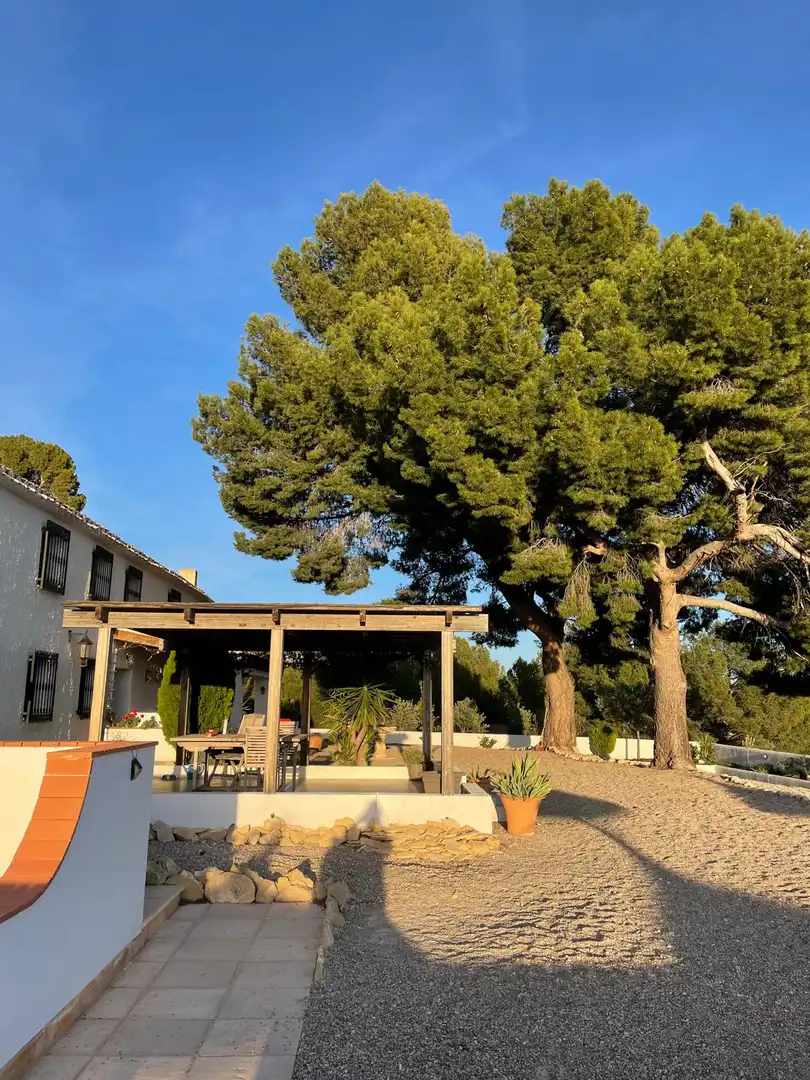 Country house for sale in Chirivel, imagen 29