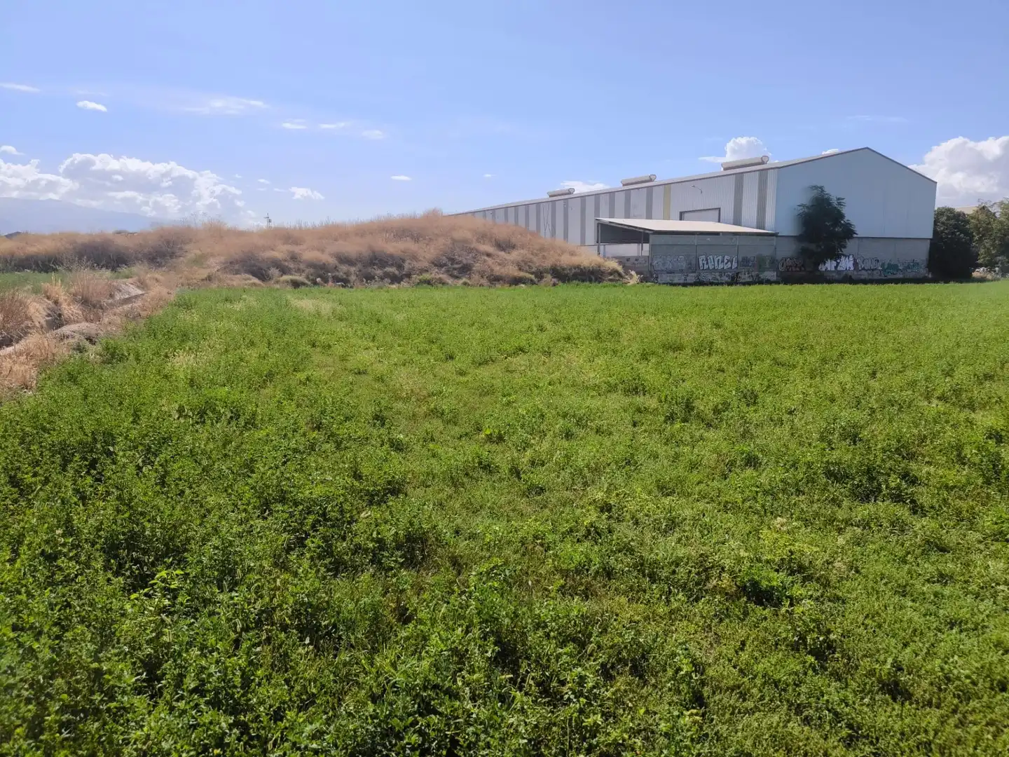 Industrial land for sale in Maracena, Granada