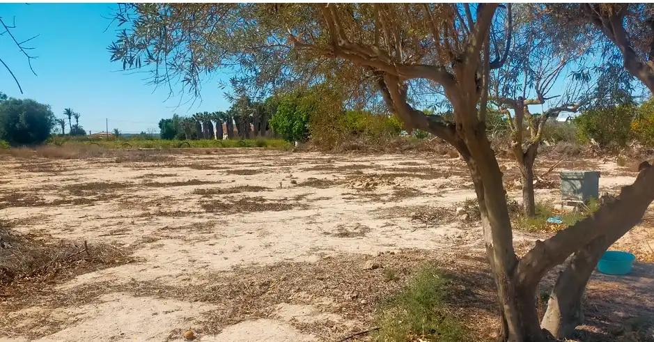 Terrain rustique à vendre à La Foia - Daimés - Asprella, imagen 6
