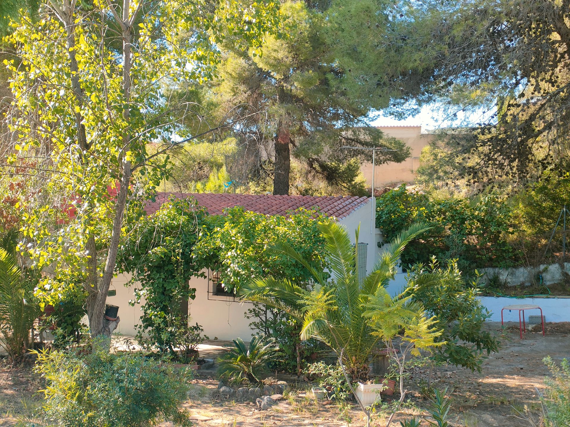 Jardí de Casa o xalet en venda en Turís amb Jardí privat, Terrassa i Traster