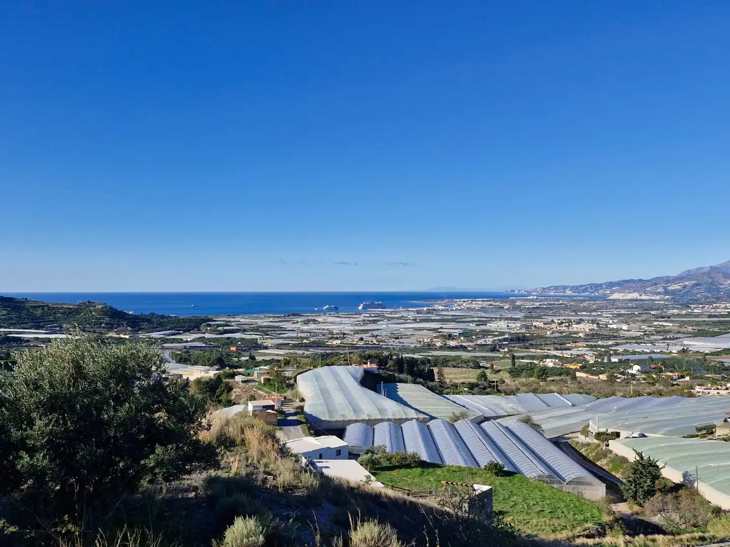 Vista exterior de Finca rústica en venta en Motril con Jardín privado, Terraza y Trastero