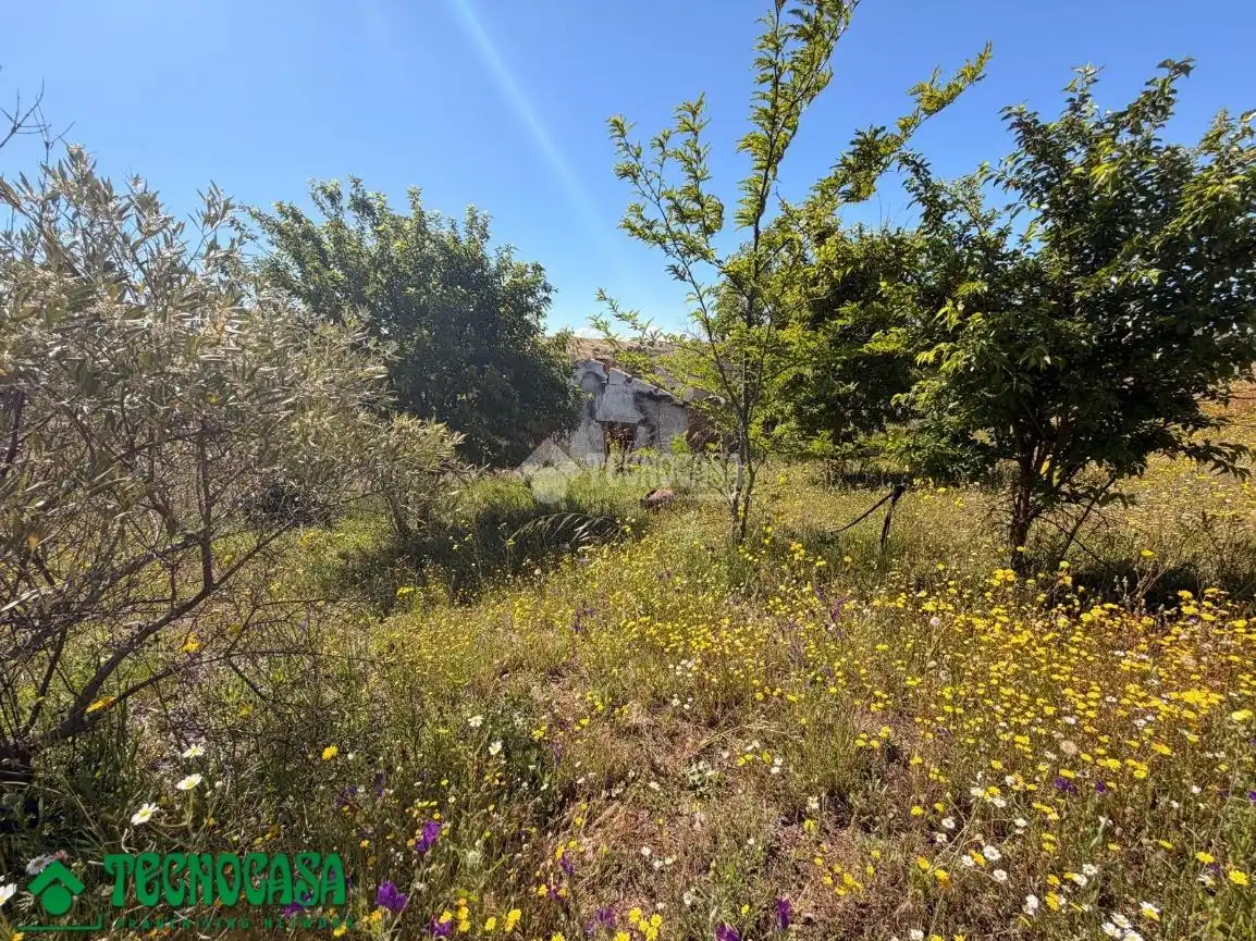 Land for sale in La Torre de Esteban Hambrán