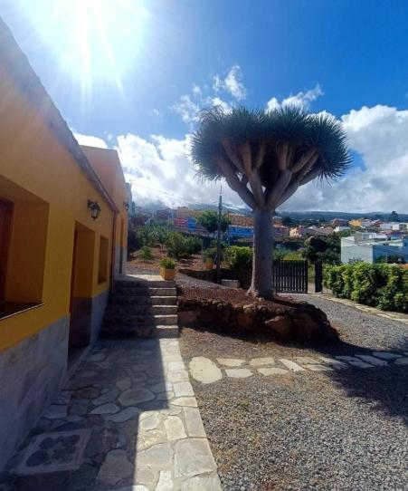 Photo 1 of House or chalet to rent in Tf21, -1, Centro, Santa Cruz de Tenerife