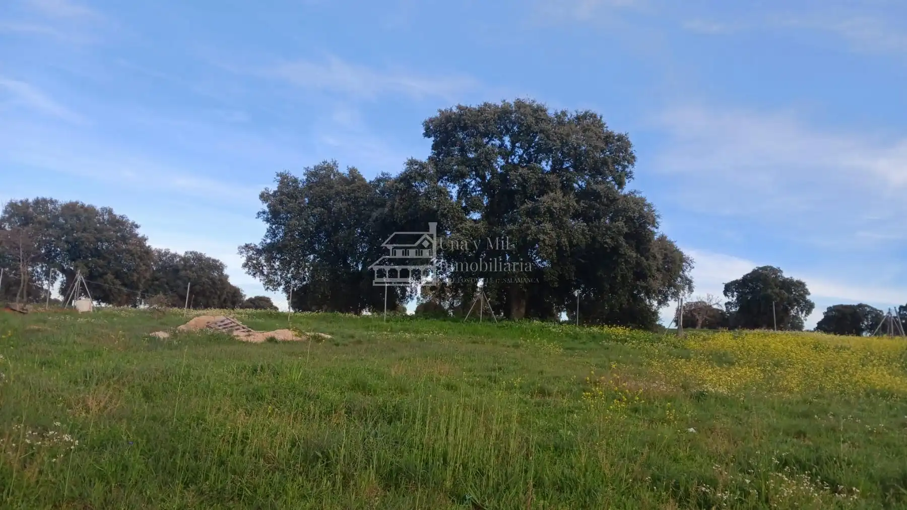 Lands and plots for sale in Calvarrasa de Arriba, imagen 11