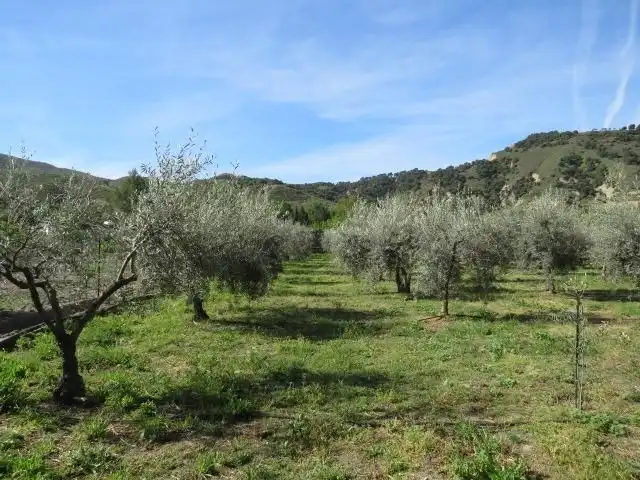Jardín de Apartamento en venta en Cenes de la Vega