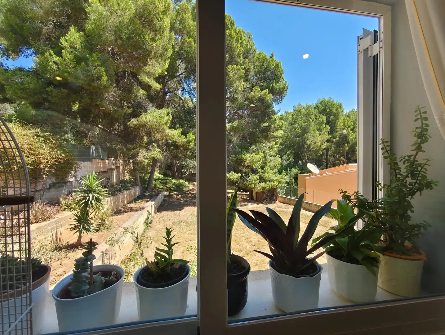 Garden of Houses for sale in  Palma de Mallorca  with Air Conditioner, Heating and Private garden