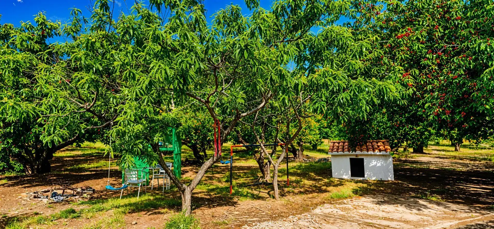 Terreny rústic en venda a Garganta la Olla, imagen 26