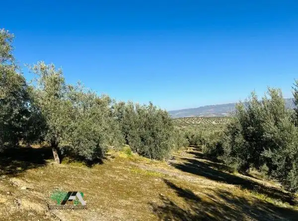 Terrenos y solares en venta en Úbeda, imagen 2