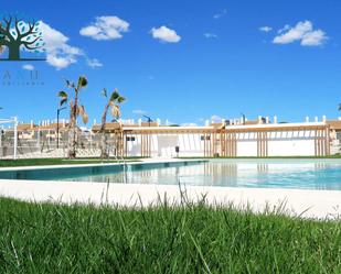 Swimming pool of Apartment for sale in Fuente Álamo de Murcia  with Terrace