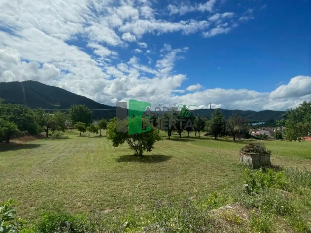 Casa o xalet en venda en Ribadavia amb Calefacció, Jardí privat i Terrassa