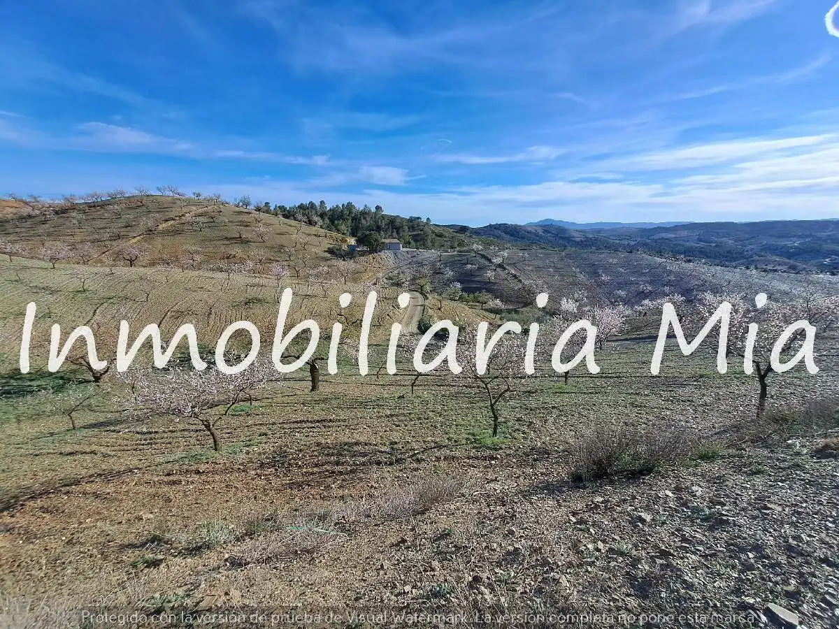 Casa o chalet en venta en Zarzalico