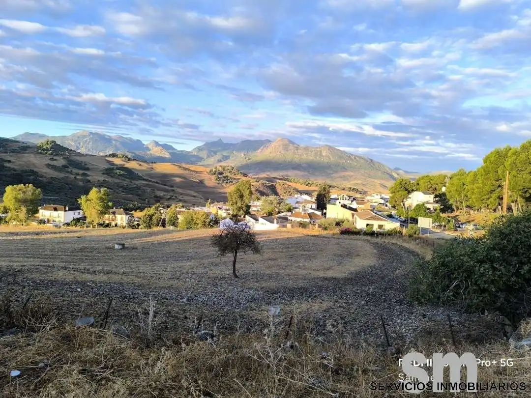 Vista exterior de Residencial en venta en Montecorto