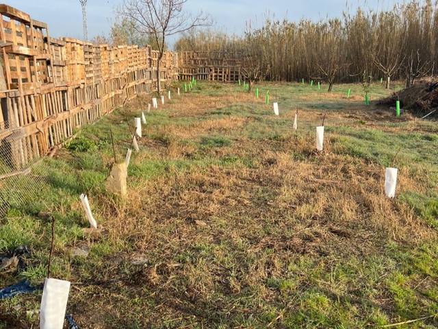 Terreno en Venta en Plaza Entrerríos, 0 S N en Figueruelas