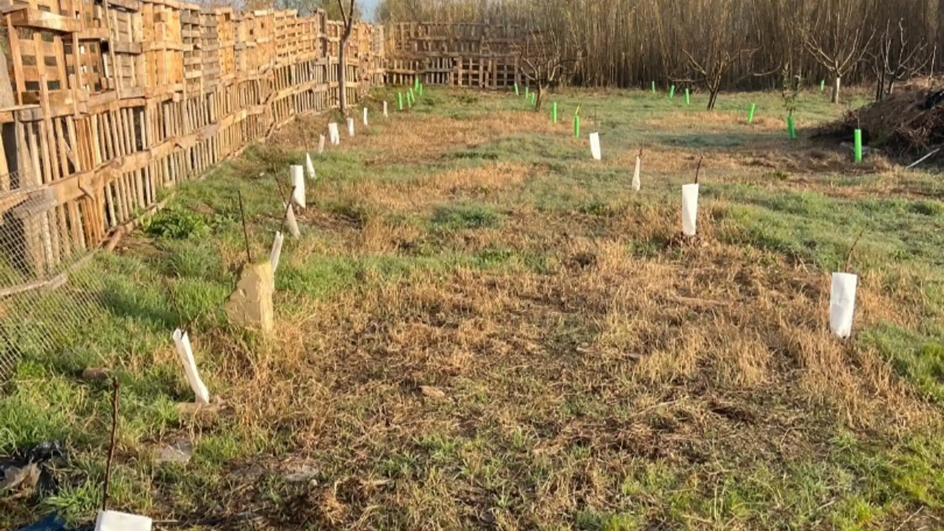 Terreno en venta en Figueruelas