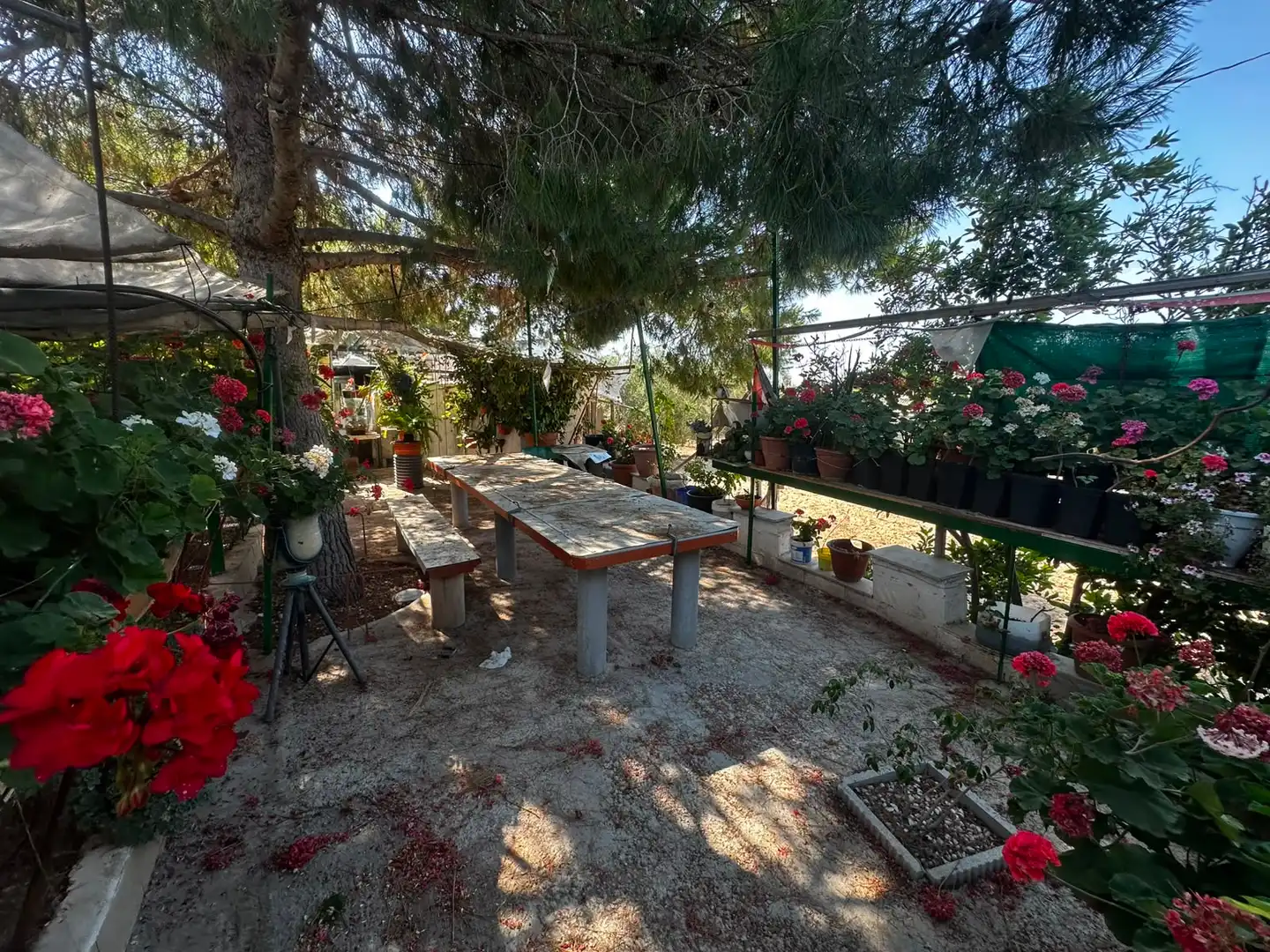Terreno rústico en venta en Villamontes - Boqueres