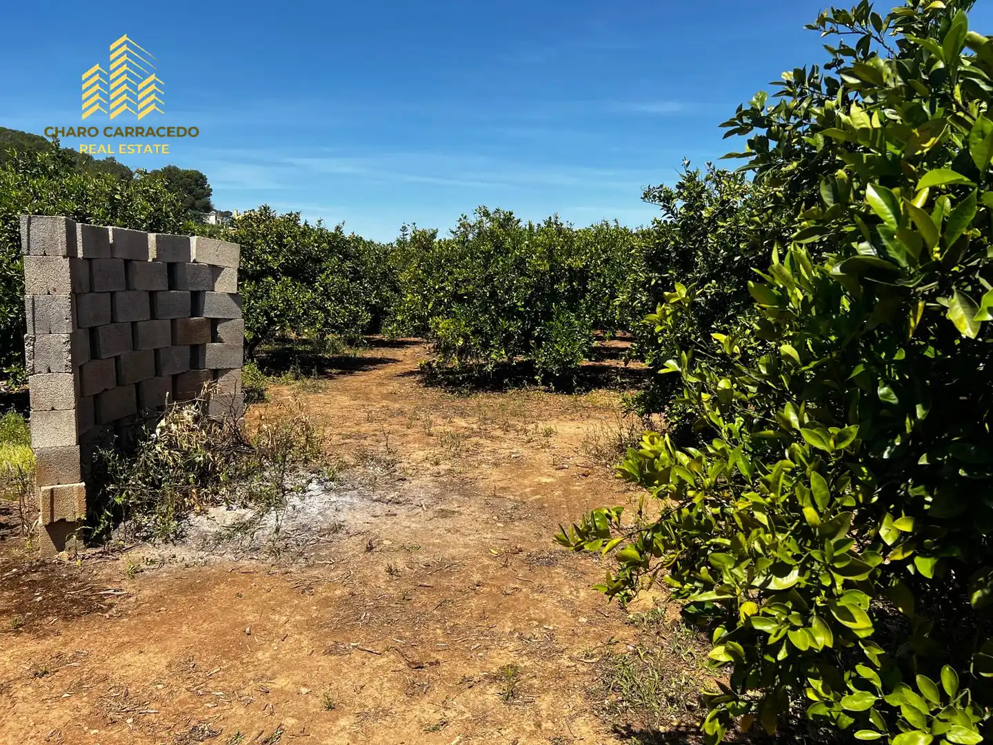 Terreno rústico en venta en Camí de la Murta-Ombria, imagen 24