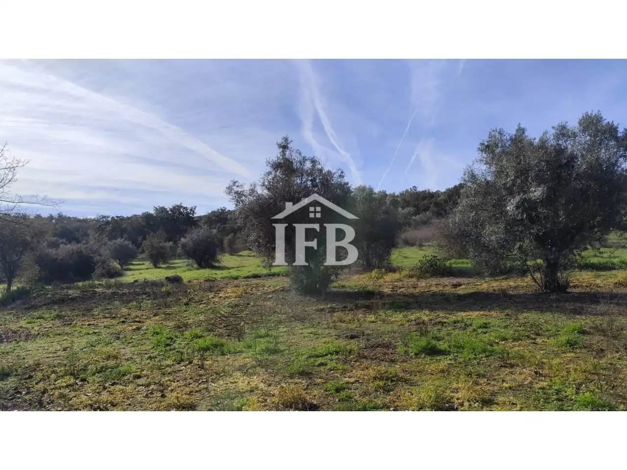 Terreno en venta en La Codosera