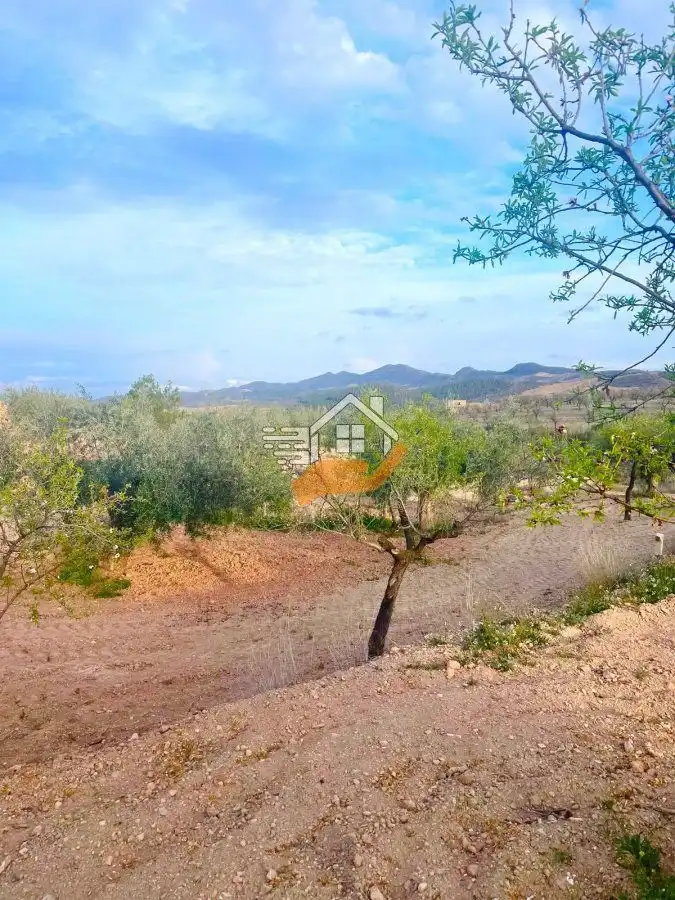 Residential land for sale in Vélez-Rubio, imagen 3