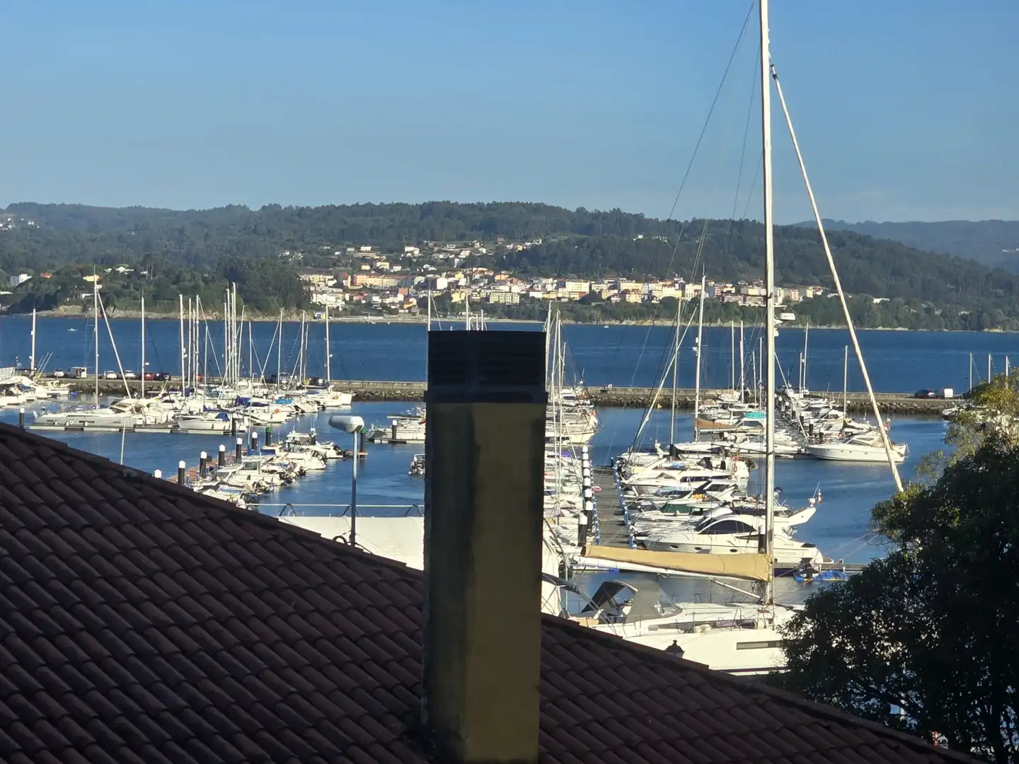 Wohnung mit Terrasse zum Verkauf in Avenida do Porto 25, imagen 26