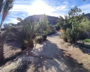 Vista exterior de Casa o xalet en venda en Elche / Elx amb Terrassa i Piscina