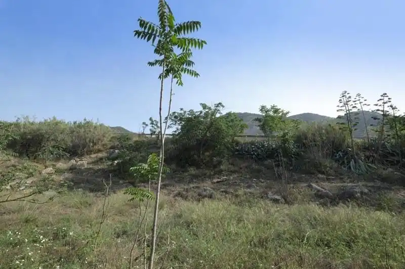 Casa rústica en venda a Padul, imagen 21