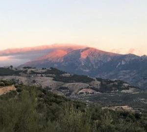 Foto 2 de Finca rústica en venda a Calle Villa, Pegalajar, Jaén