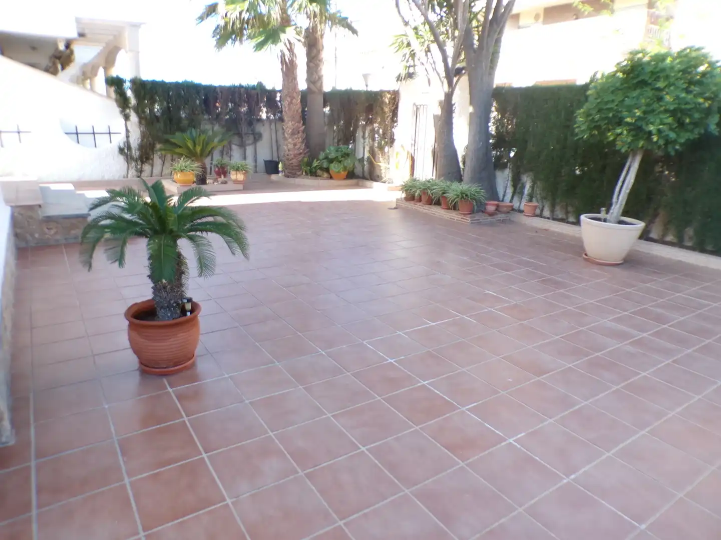 Casa o chalet en venta en Calle Antonio Aguado, 39, Torre de la Horadada
