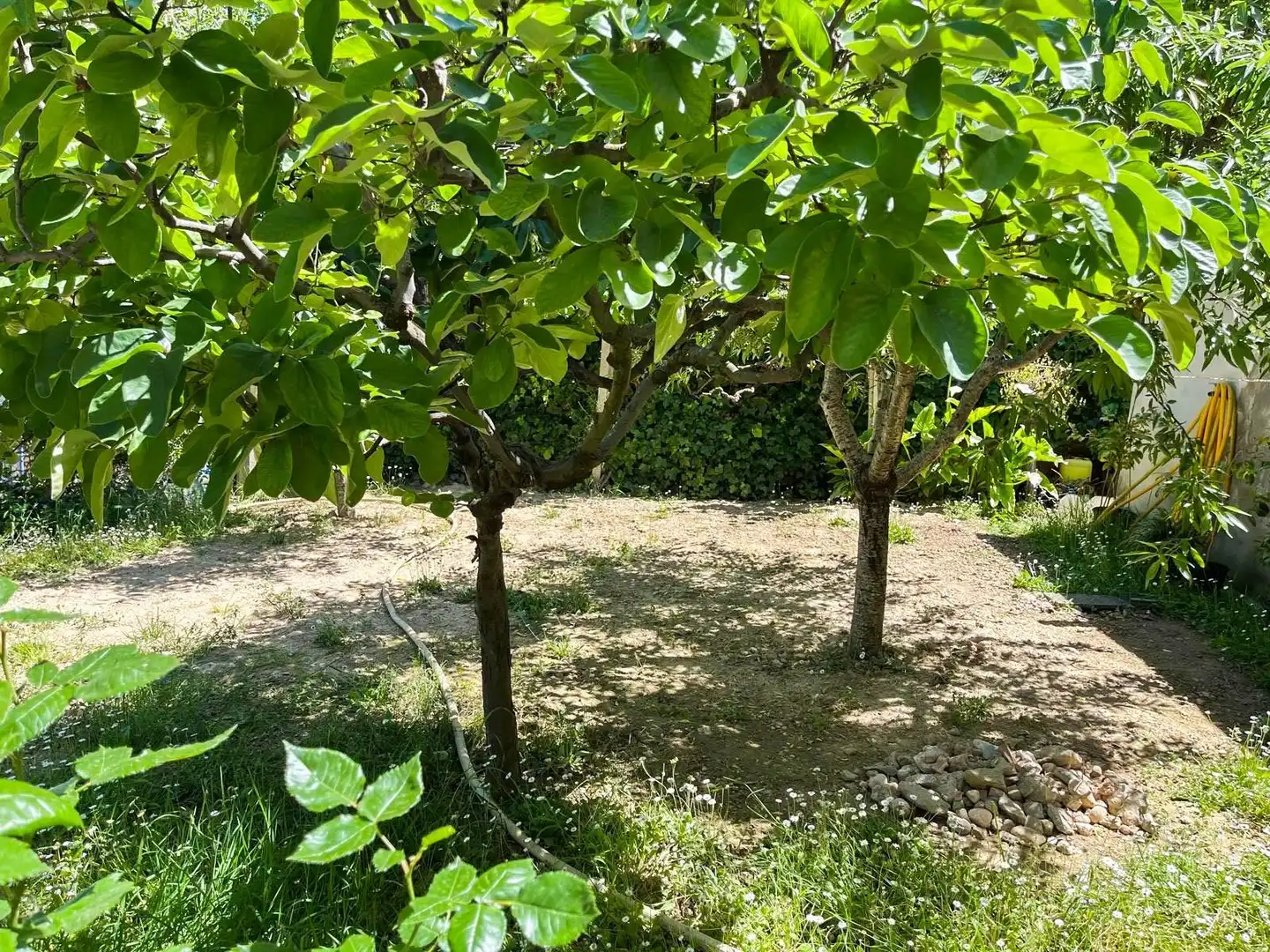 Casa o xalet en venda en Esparreguera amb Calefacció, Jardí privat i Terrassa