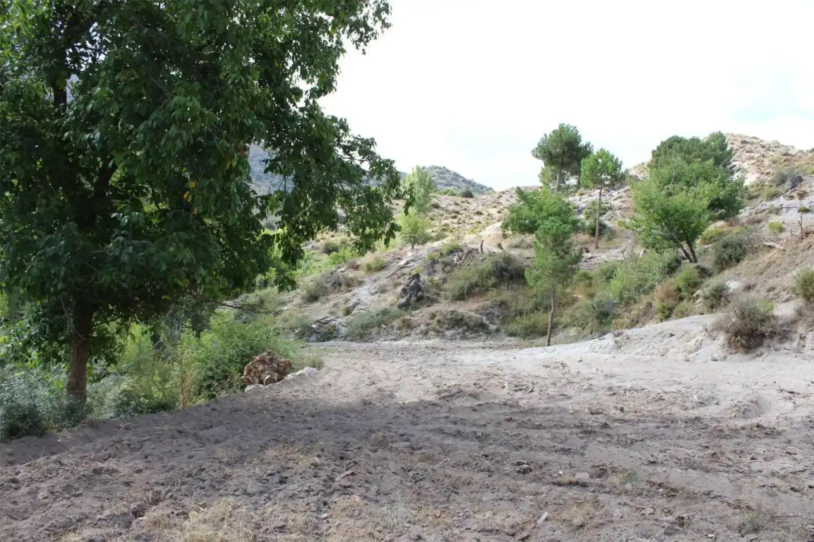 Finca rústica en venta en Quéntar