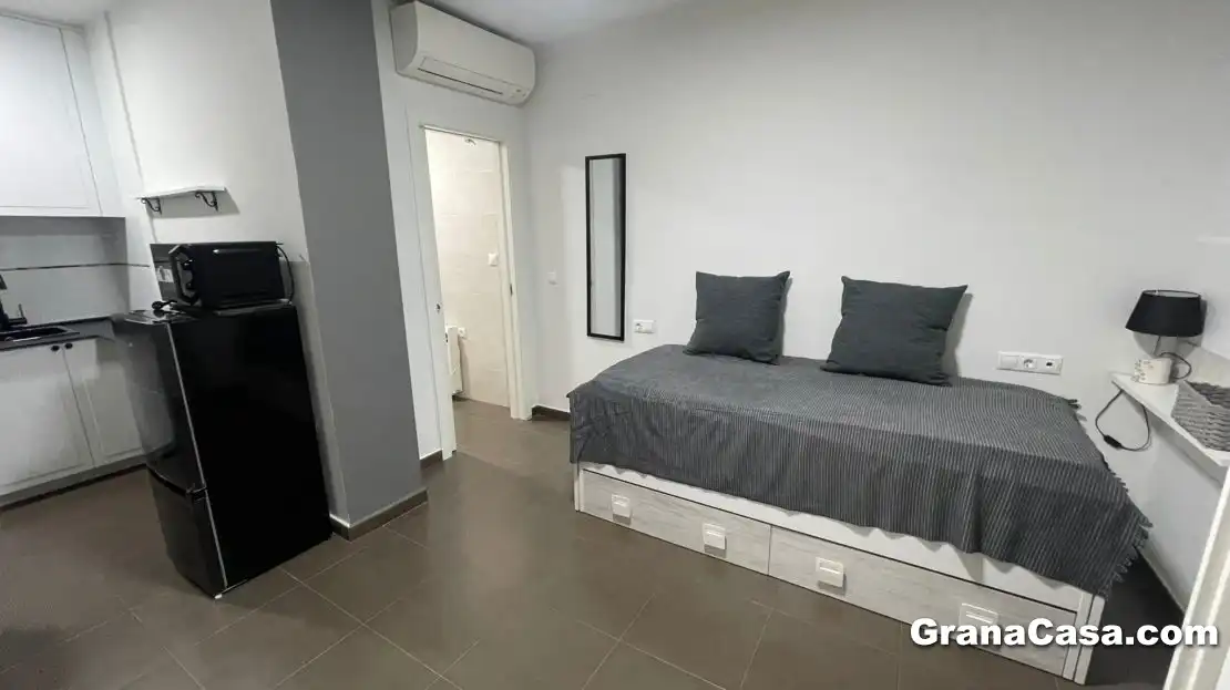 Wohnung zur Miete in Calle Acera del Darro 15