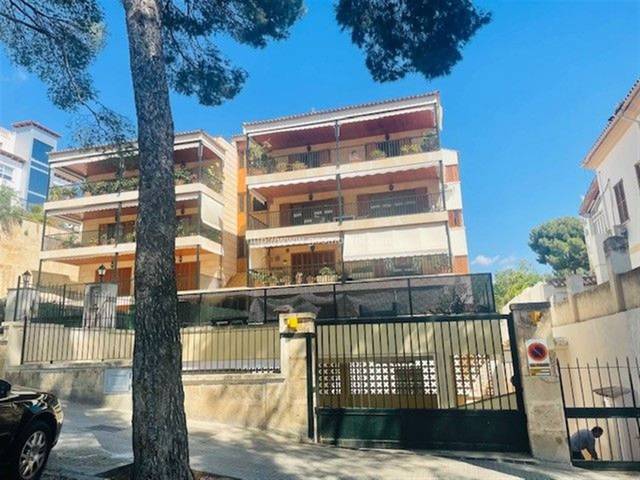 Local comercial en Alquiler en Son Armadans