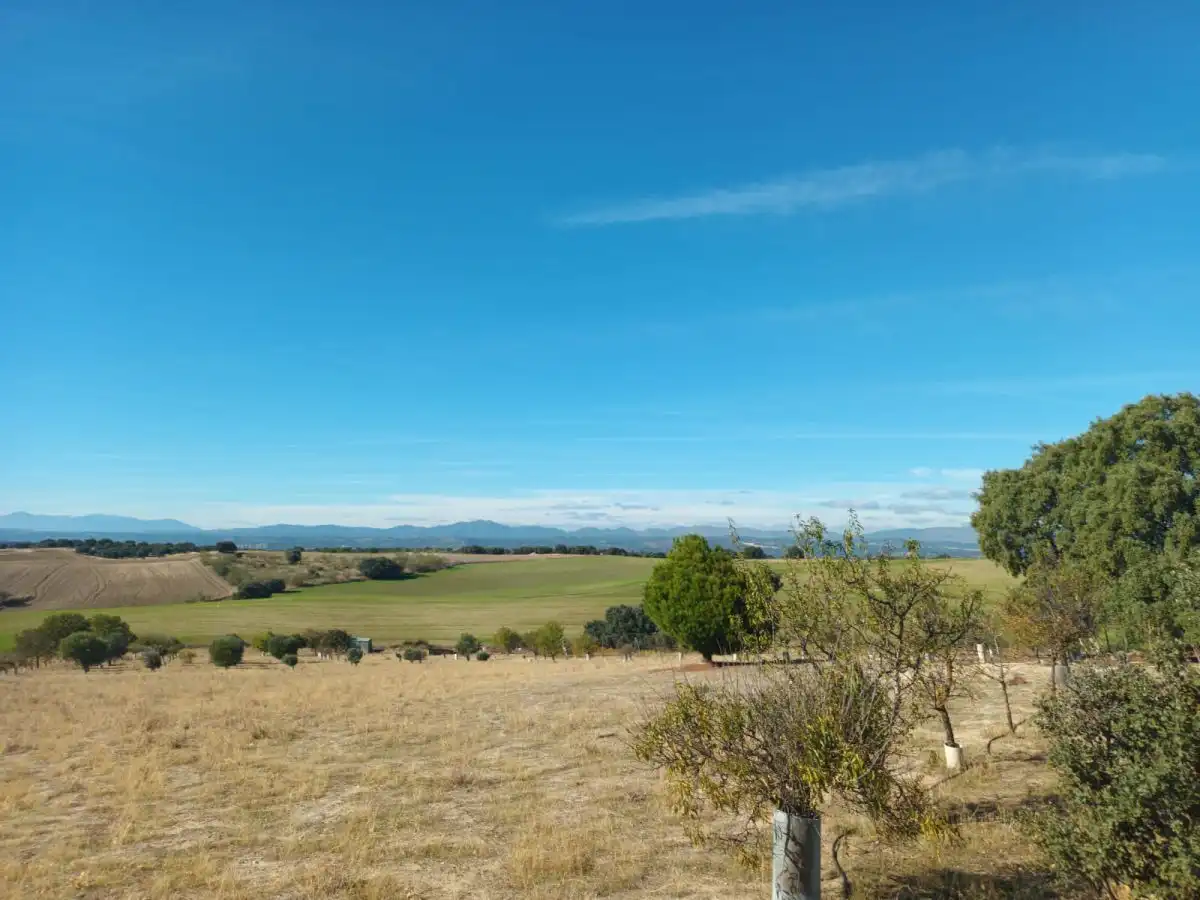 Finca rústica en venta en Brunete
