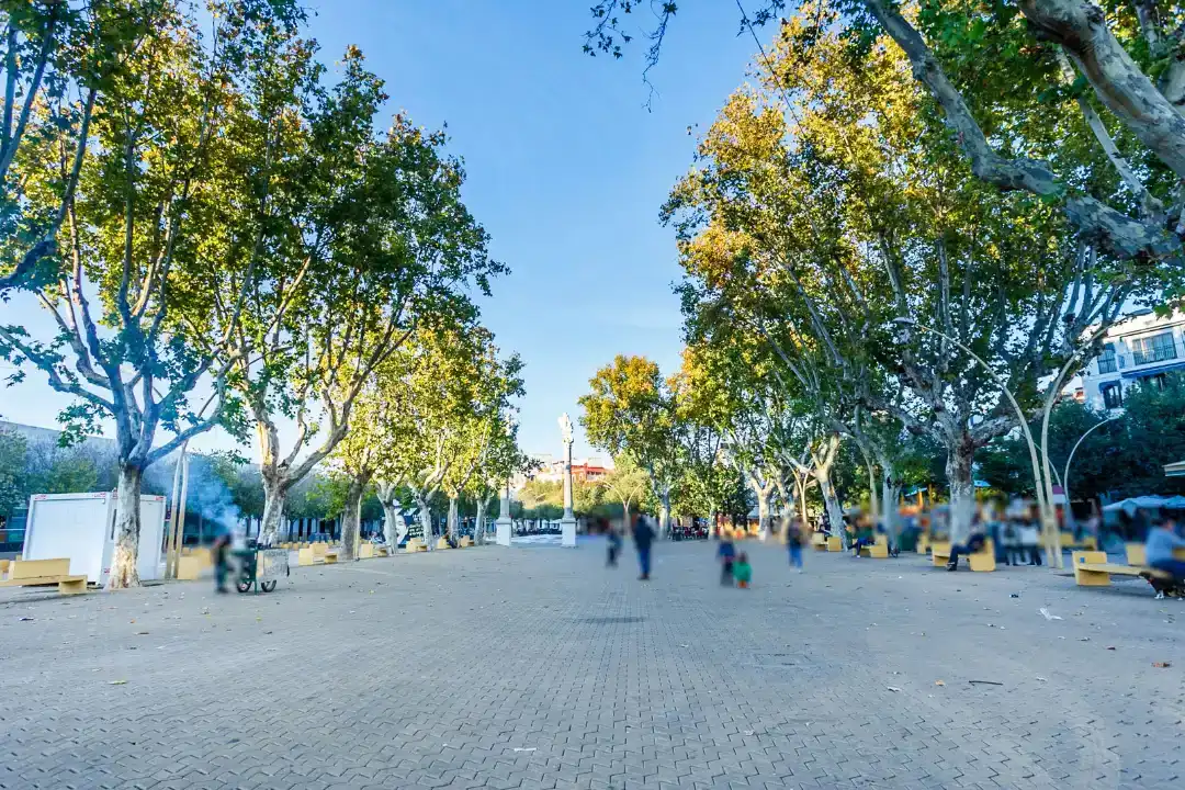 Vista exterior de Àtic de lloguer en Sevilla amb Aire condicionat, Calefacció i Terrassa