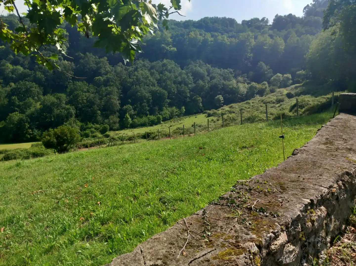 Terreni e lotti in vendita a Labarces - La Cardosa 21, imagen 4