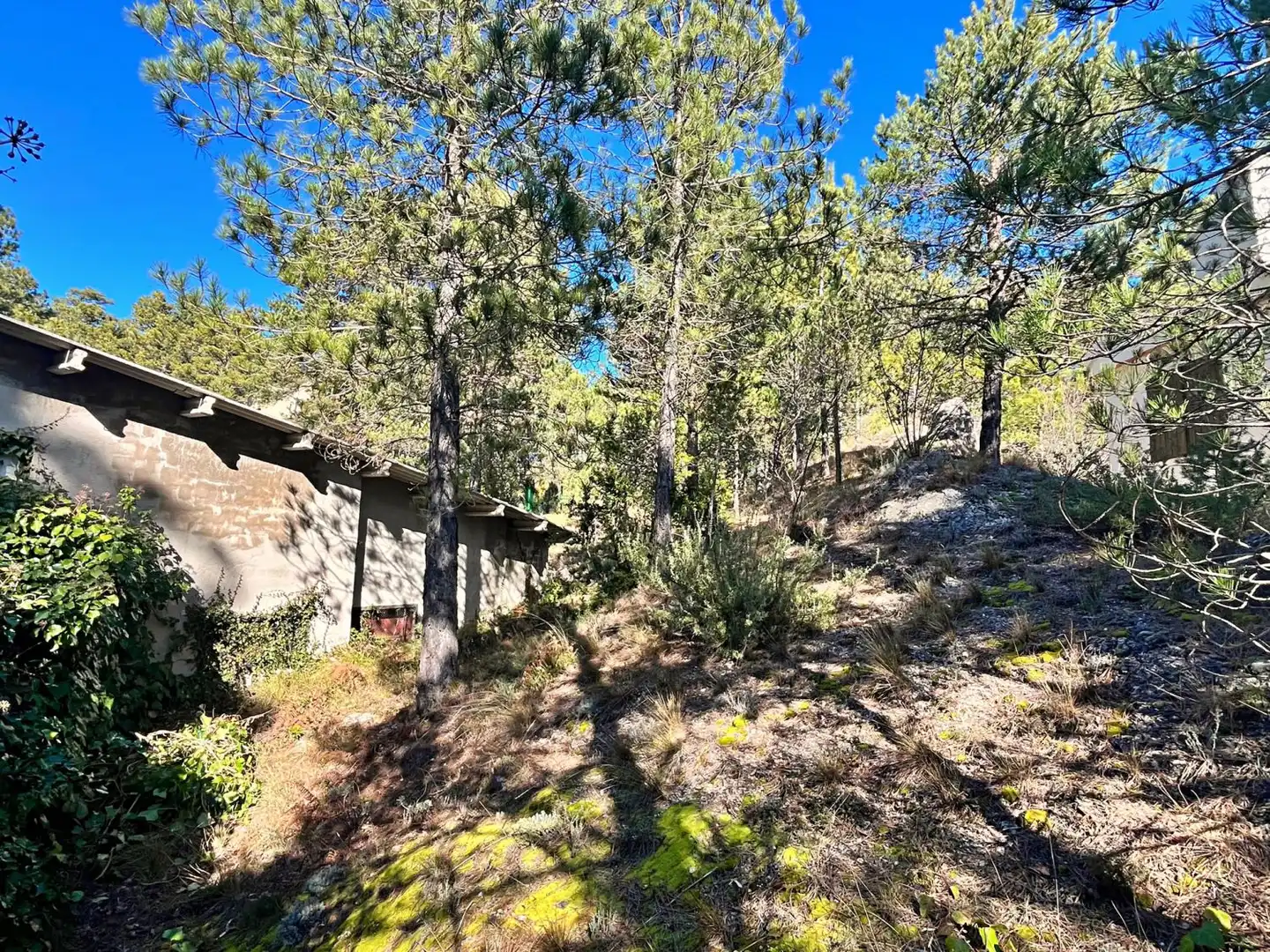Villa avec terrasse à vendre à Roquetes, imagen 77