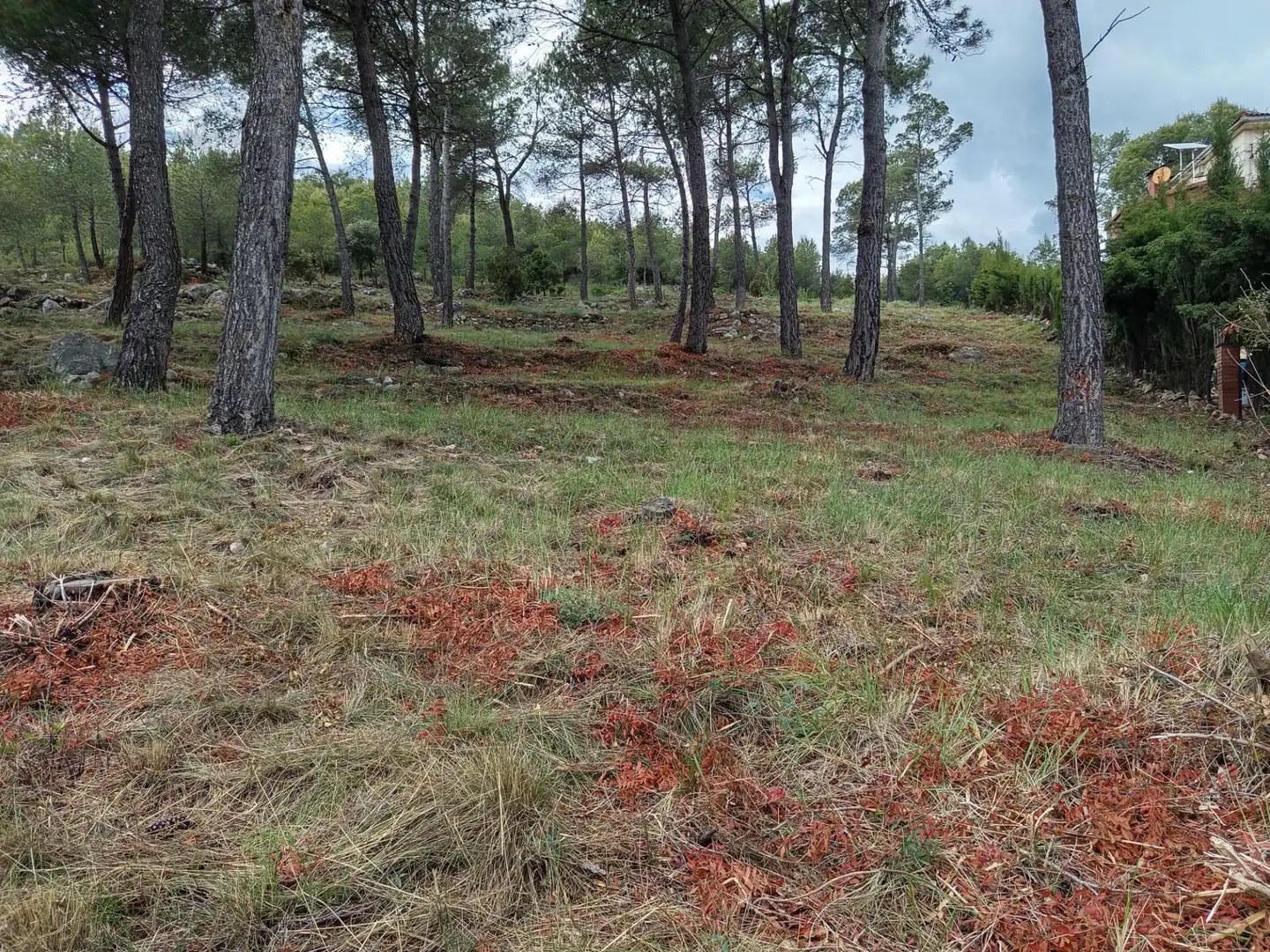 Residencial en venta en Cabrera d'Anoia
