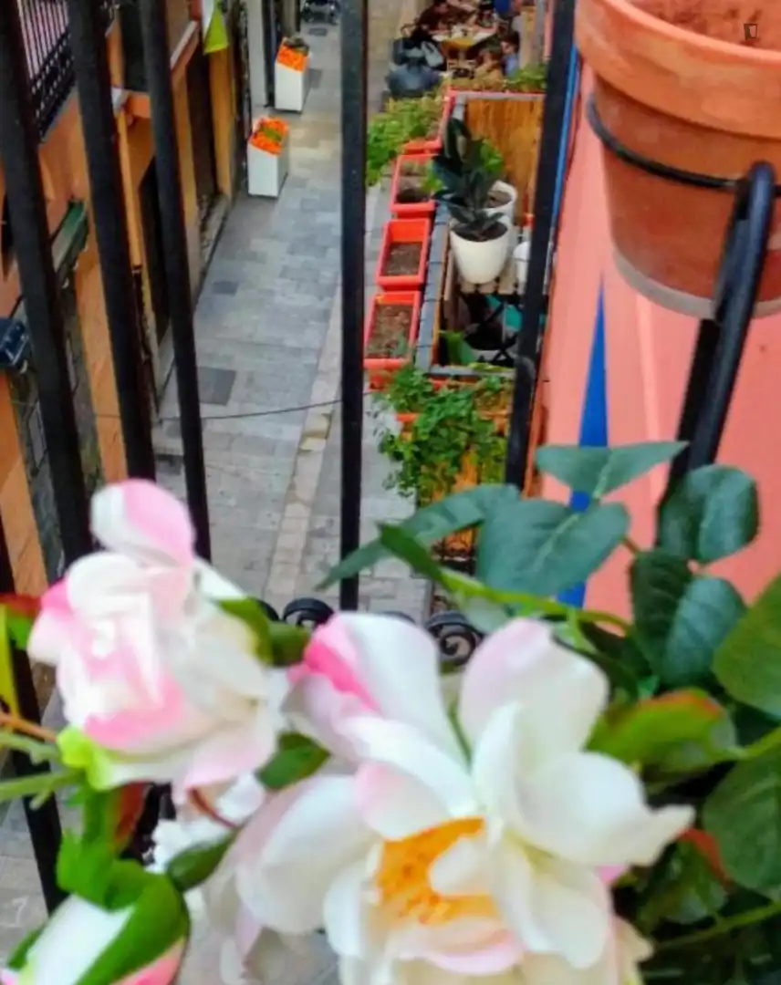 Apartament de lloguer a Ciutat Vella, imagen 26