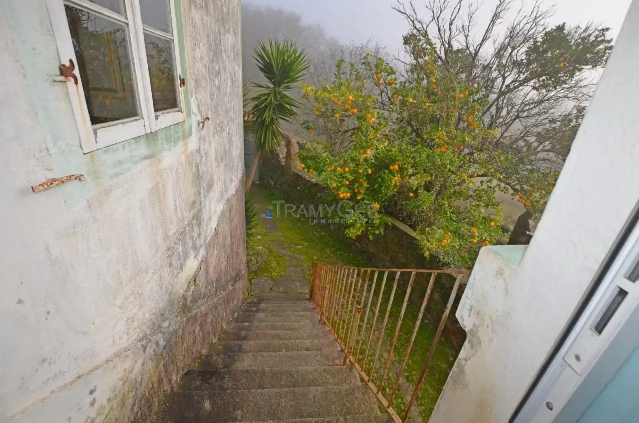 Vista exterior de Casa o chalet en venta en O Rosal   con Calefacción, Jardín privado y Trastero