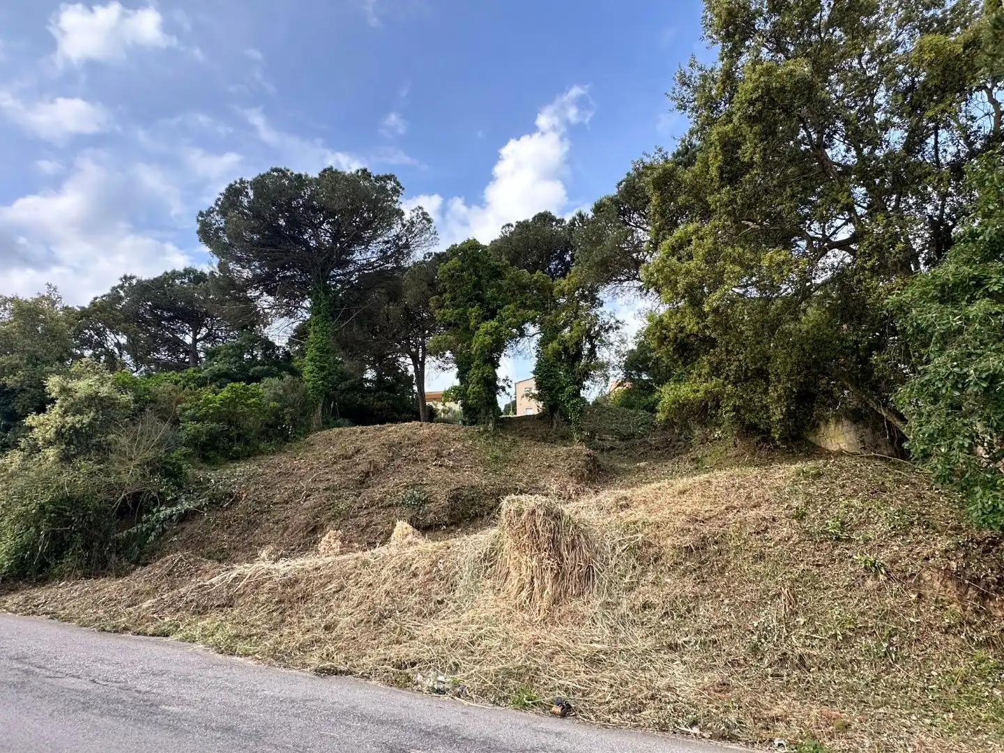 Residential land for sale in Avinguda Mil·lenni 20, imagen 2