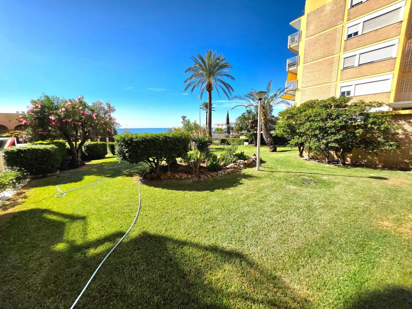 Mini appartamento con terrazza in affitto a Avenida FERRANDIS SALVADOR, imagen 19