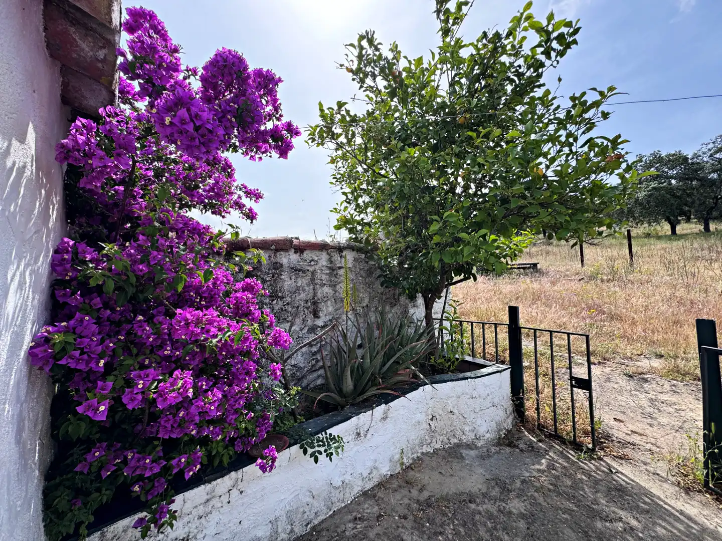 Garden of Residential for sale in El Cerro de Andévalo