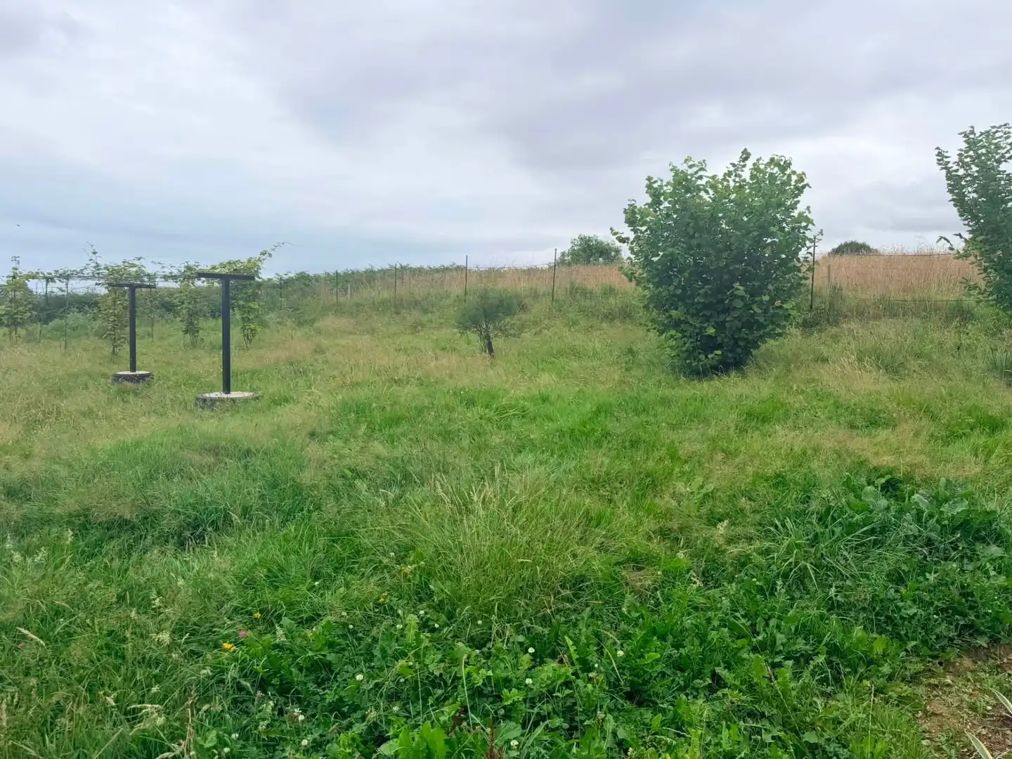 Casa o xalet en venda en Cartes amb Aire condicionat, Calefacció i Jardí privat