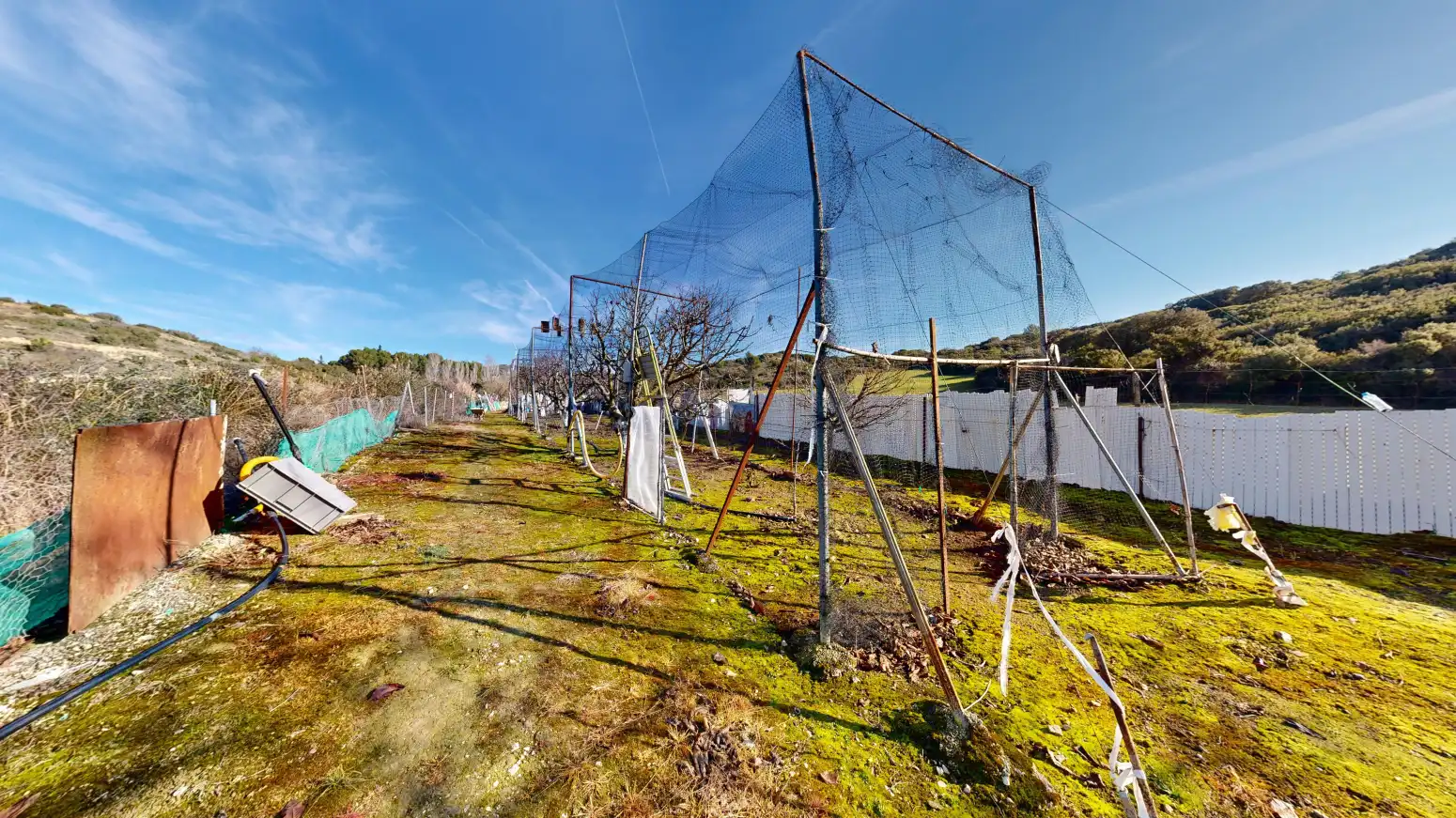 Rural land for sale in Tafalla - TERMINO JUNCAL, imagen 23