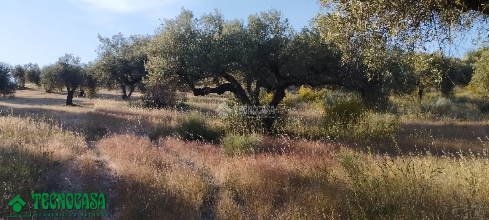 Terreni e lotti in vendita a Méntrida, imagen 5