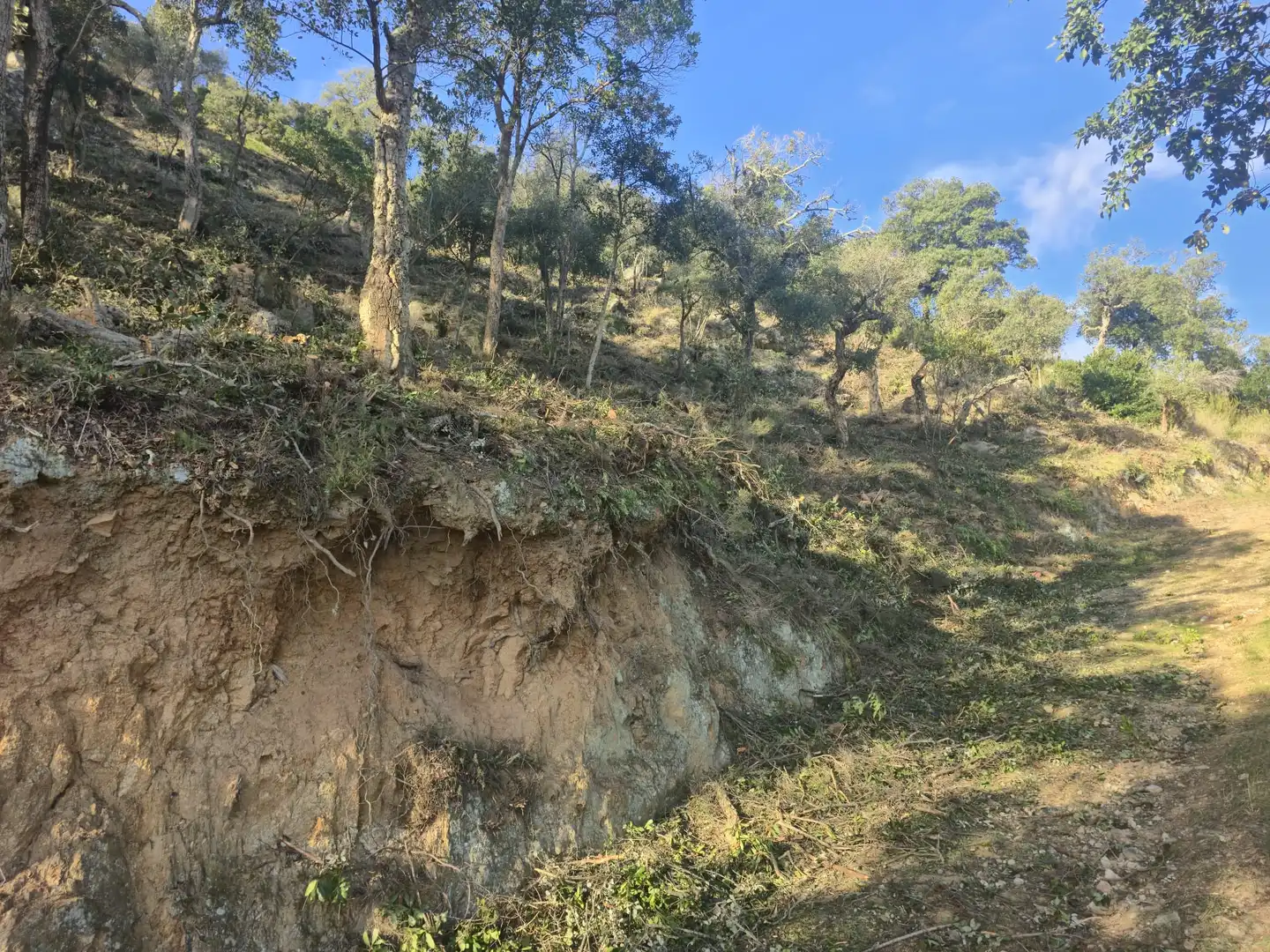 Terrain résidentiel à vendre à Xiprer 36, imagen 2