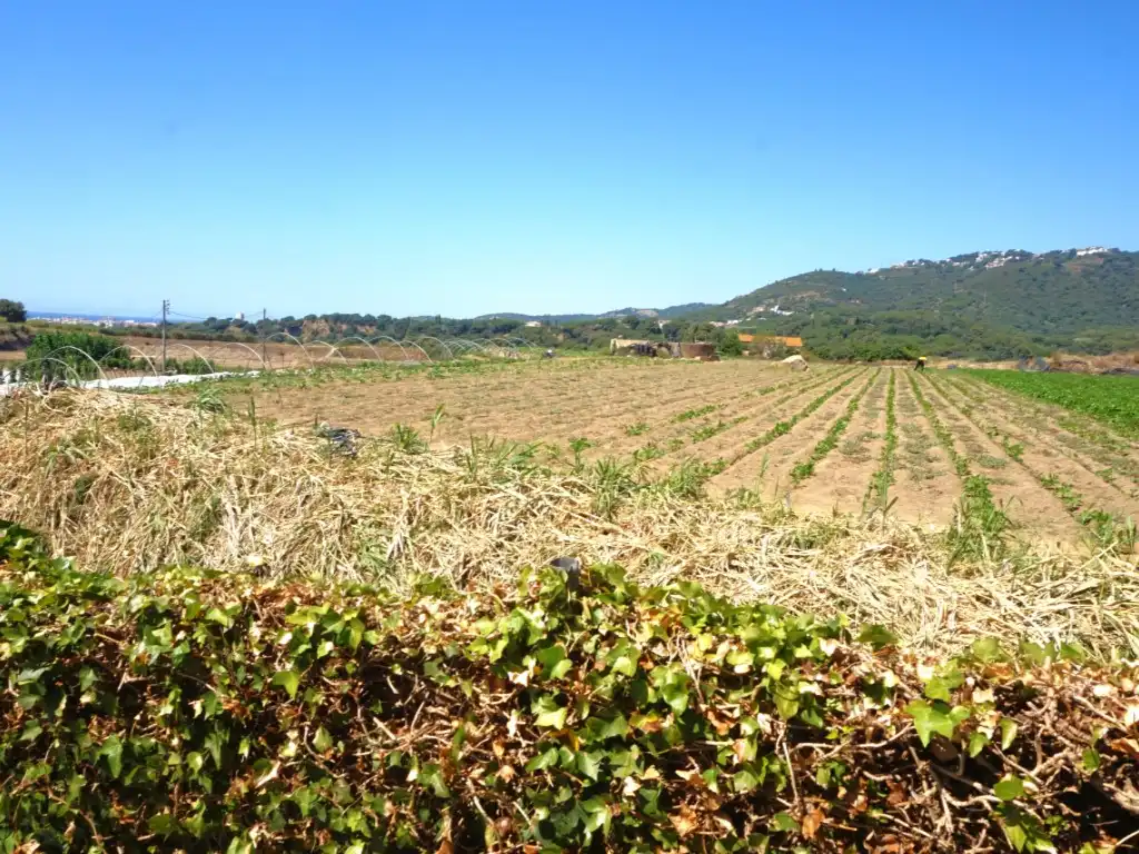 Houses for sale in Pineda de Mar
