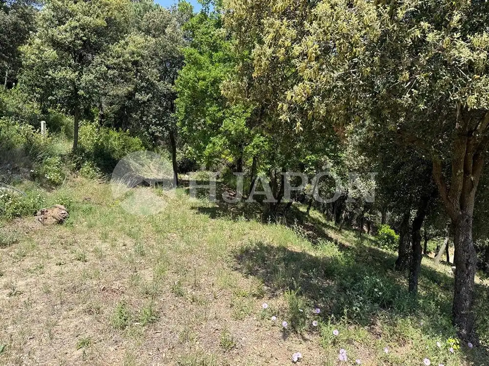 Terreny residencial en venda a Vallromanes, imagen 21