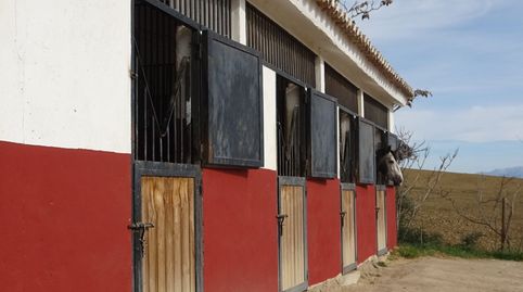 Photo 3 of Country homes for sale in Villanueva de la Concepción, Málaga
